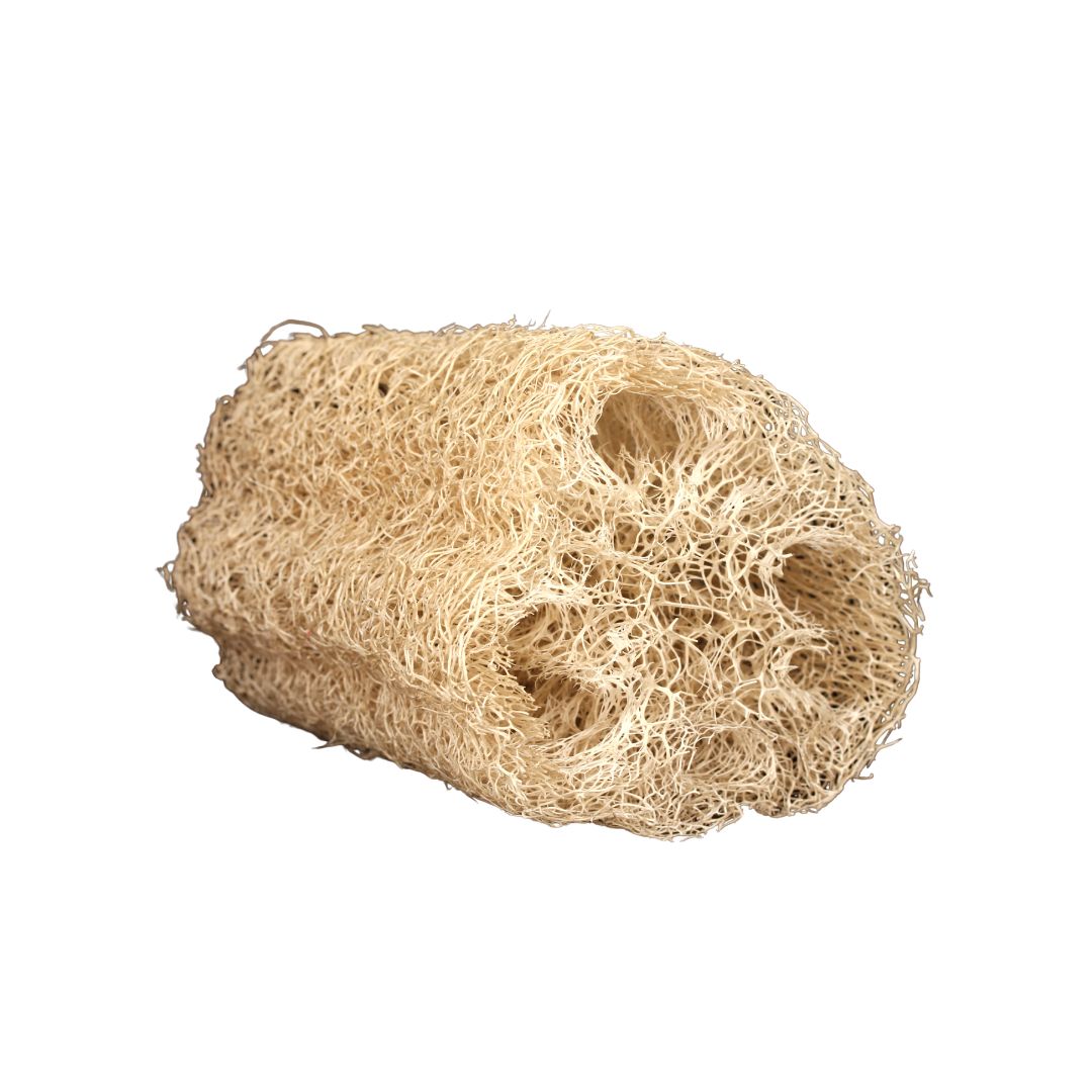 Esponja de lufa natural La Mexicana XL – Paquete de 2 (aprox. 48 cm de largo cada una)