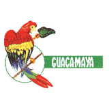 GUACAMAYA