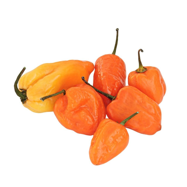 Fresh Chile Habanero Peppers - 12 ct