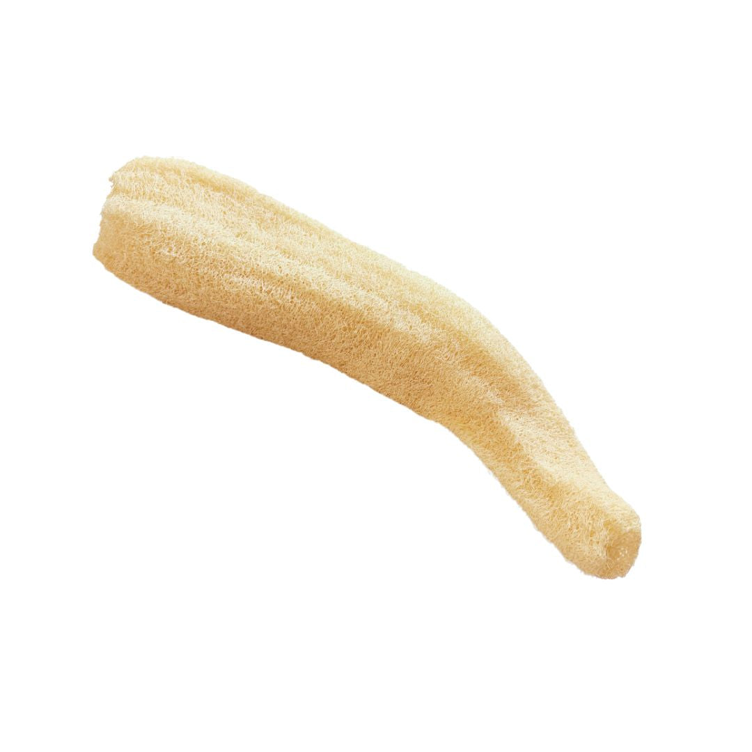La Mexicana Natural Loofah Sponge XL – 2 Pack (Approx. 19" Long Each)