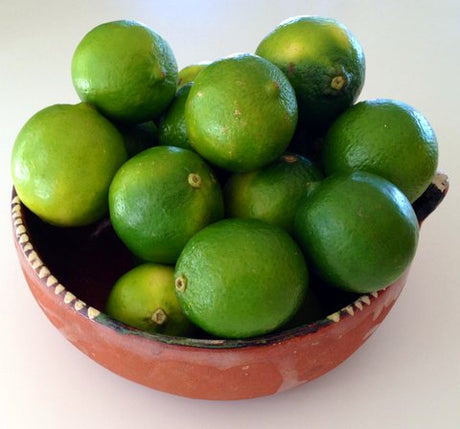 Fresh Mexican Limes - Limones - 12 ct